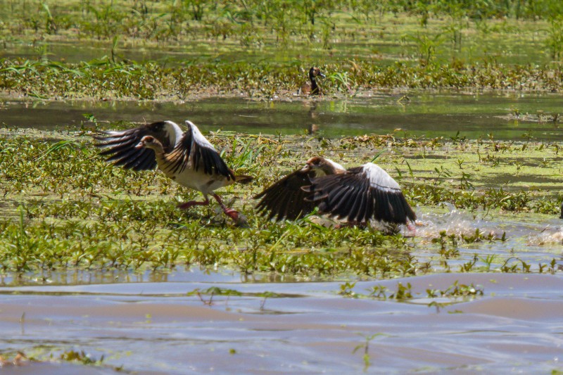 Tarangire National Park