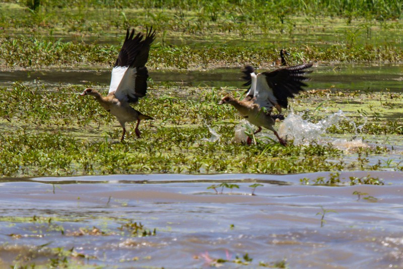 Tarangire National Park