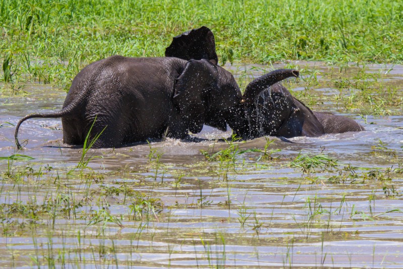 Tarangire National Park