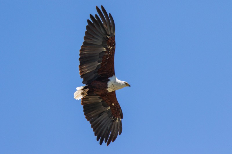 Tarangire National Park