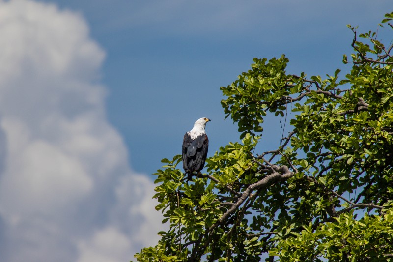 Tarangire National Park