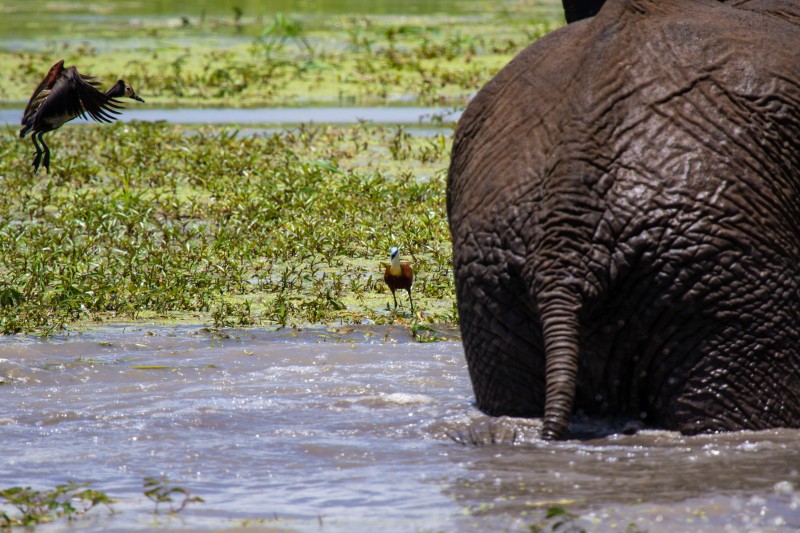 Tarangire National Park