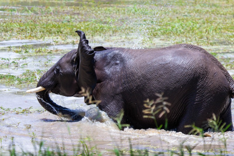 Tarangire National Park