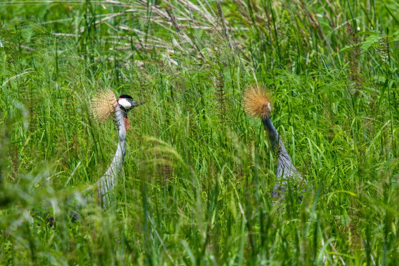 Tarangire National Park