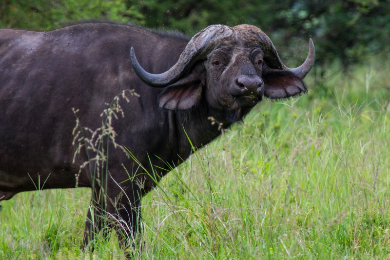 Tarangire National Park