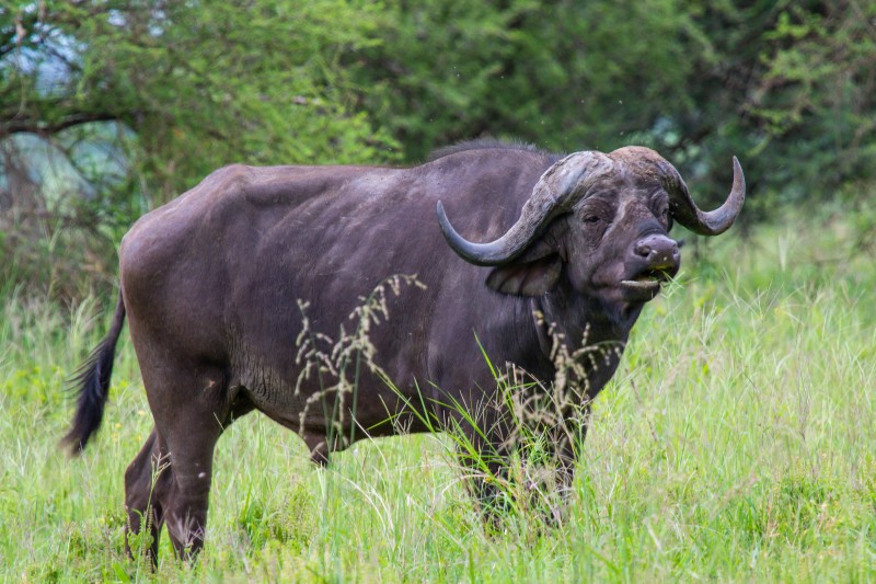 Tarangire National Park