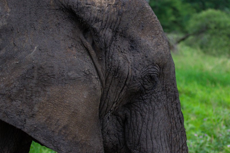 Tarangire National Park