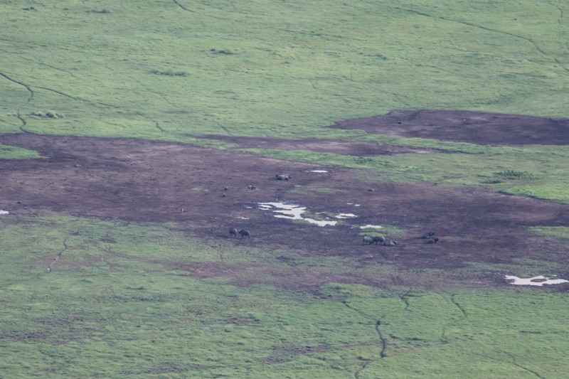 Ngorongoro Crater