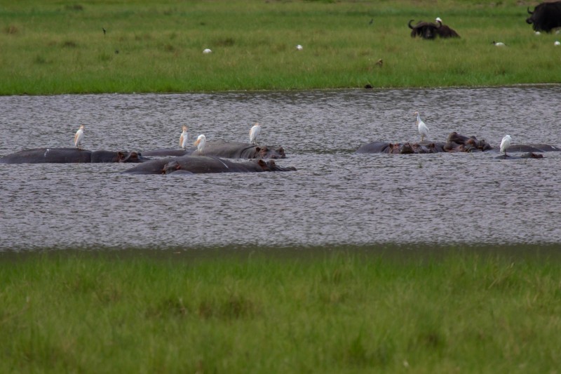 Ngorongoro Crater