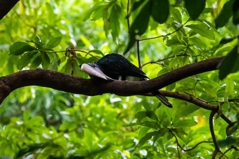 Trip to Kilimanjaro , Lake Manyara Game Reserve