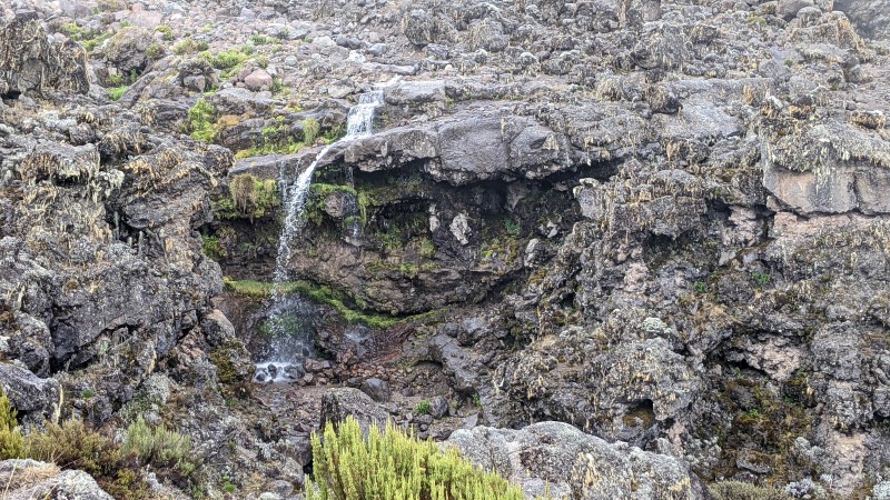 Trip to Kilimanjaro