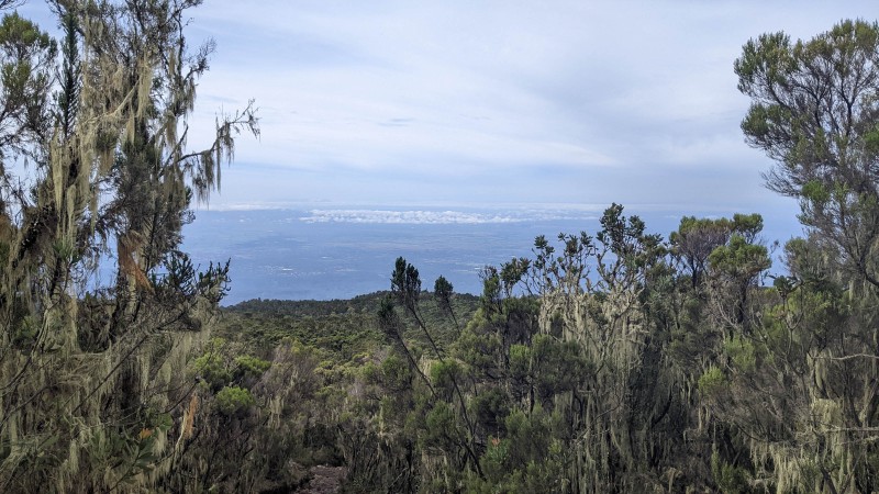Trip to Kilimanjaro