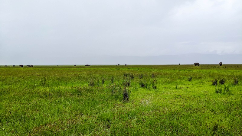 Ngorongoro Crater