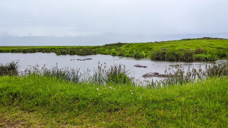 Ngorongoro Crater