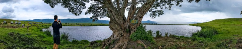 Ngorongoro Crater