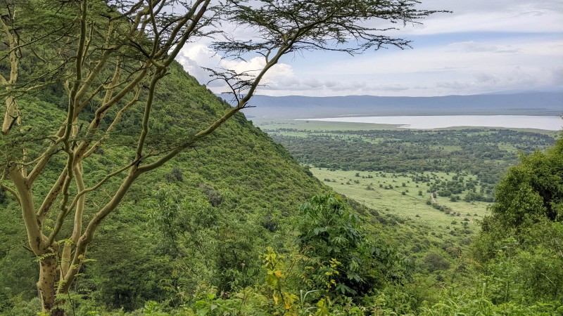 Ngorongoro Crater