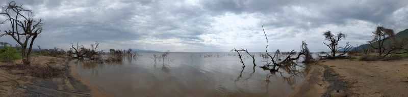 Trip to Kilimanjaro , Lake Manyara Game Reserve