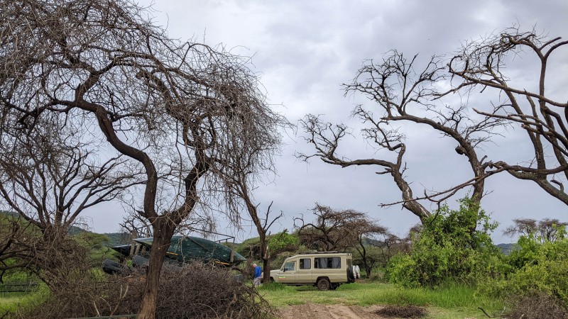 Trip to Kilimanjaro , Lake Manyara Game Reserve