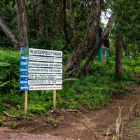 Trip to Kilimanjaro