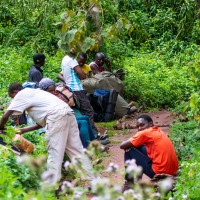 Trip to Kilimanjaro