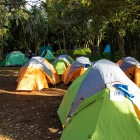 Trip to Kilimanjaro