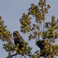 Trip to Kilimanjaro