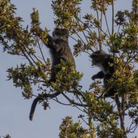 Trip to Kilimanjaro