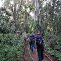 Trip to Kilimanjaro