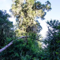 Trip to Kilimanjaro