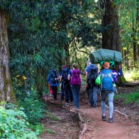 Trip to Kilimanjaro