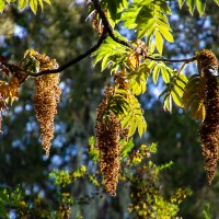 Trip to Kilimanjaro