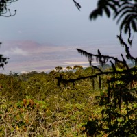 Trip to Kilimanjaro