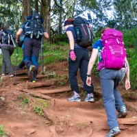 Trip to Kilimanjaro