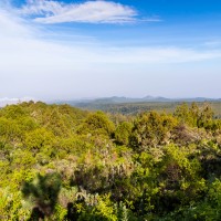 Trip to Kilimanjaro