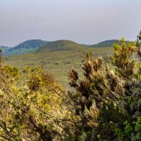 Trip to Kilimanjaro