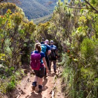 Trip to Kilimanjaro