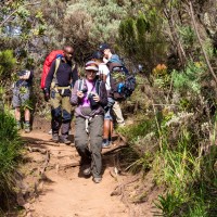 Trip to Kilimanjaro