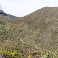 Trip to Kilimanjaro