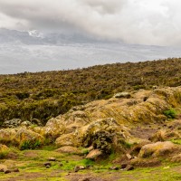 Trip to Kilimanjaro