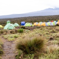 Trip to Kilimanjaro