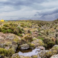 Trip to Kilimanjaro