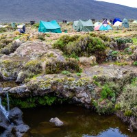 Trip to Kilimanjaro