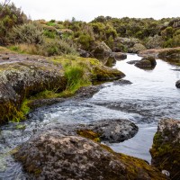 Trip to Kilimanjaro