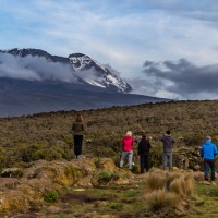 Trip to Kilimanjaro