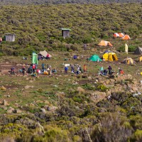 Trip to Kilimanjaro