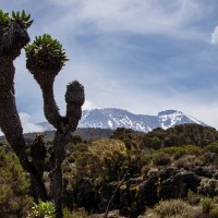 Trip to Kilimanjaro