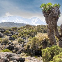 Trip to Kilimanjaro