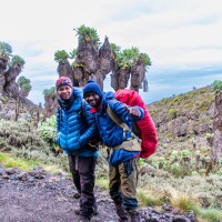 Trip to Kilimanjaro