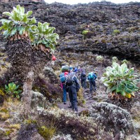 Trip to Kilimanjaro