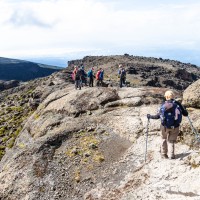 Trip to Kilimanjaro